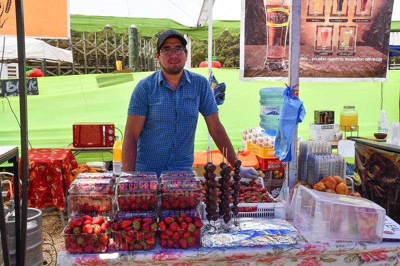 Feria de la Frutilla 2023 se realizó en Pelluhue