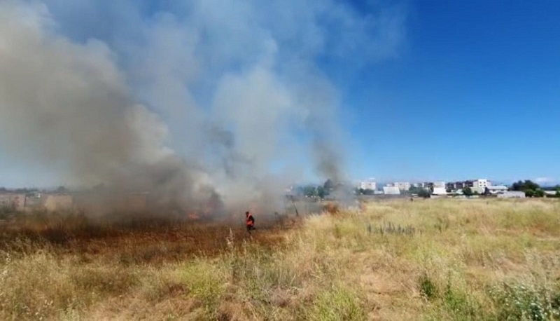 Linares: Bomberos trabajó en incendio de pastizal