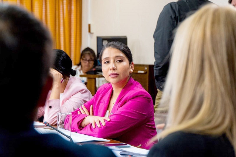 Diputada Consuelo Veloso presentó oficio solicitando explicaciones por falta de agua en comunidades de San Javier y Colbún