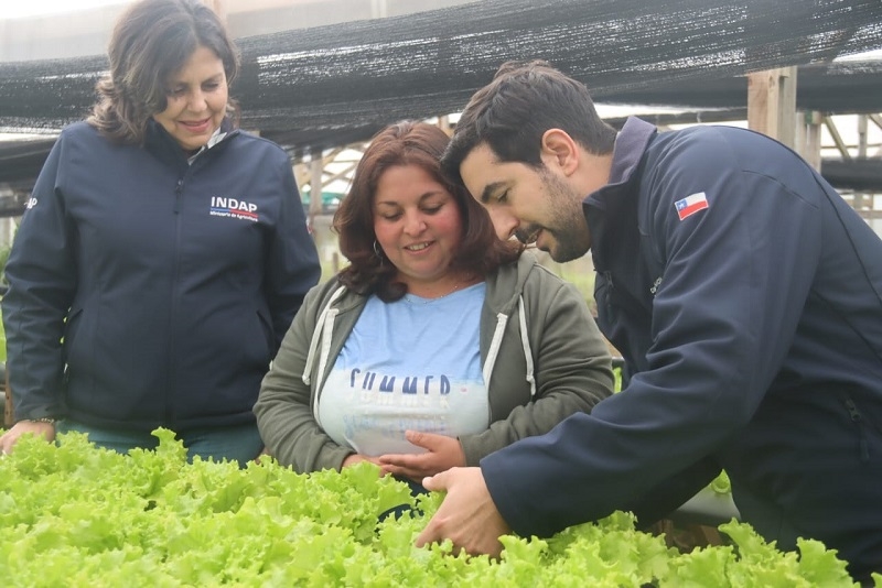 INDAP incorpora mejoras a Programa Prodesal que beneficiará a más de 68 mil agricultores