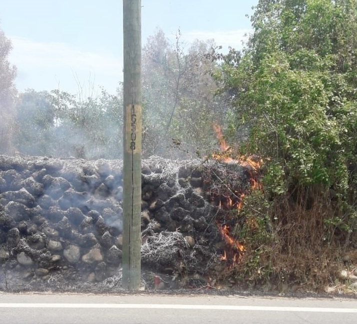 Incendios de pastizales movilizaron a bomberos en Linares