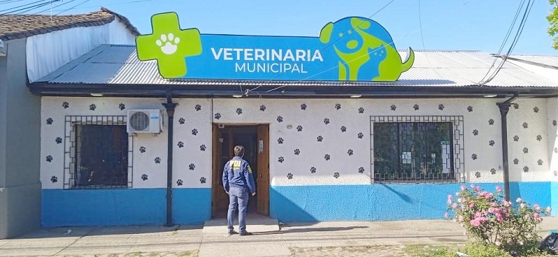  PDI investiga robo a Veterinaria Municipal de Linares