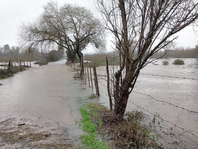 Linares: lluvias provocaron  inundaciones en sector urbano y anegamientos en precordillera y sectores bajos