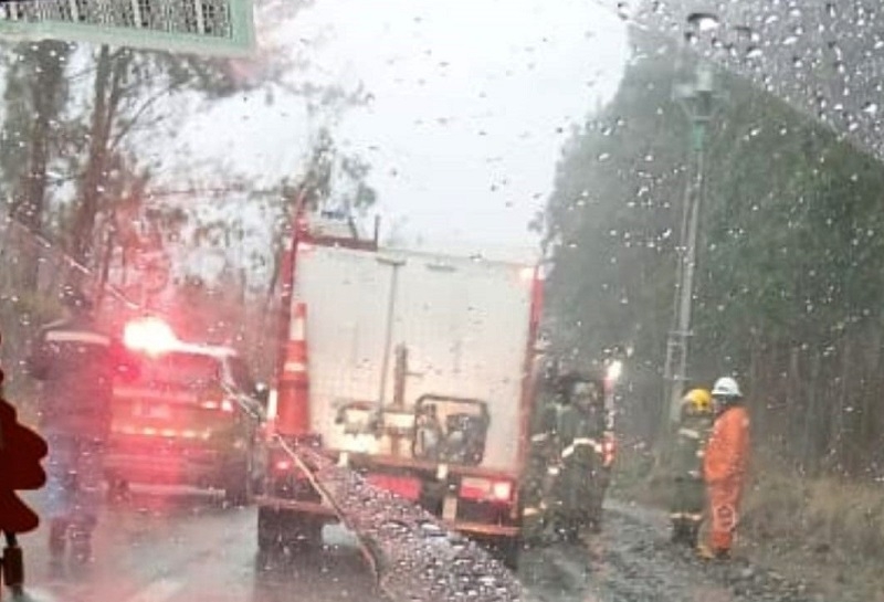 Linares: Carabinero lesionado por caída de árbol en el sector precordillerano de Embalse Ancoa