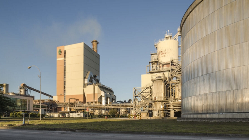 Duró 37 días: Trabajadores de planta Valdivia de Celulosa Arauco finalizaron huelga