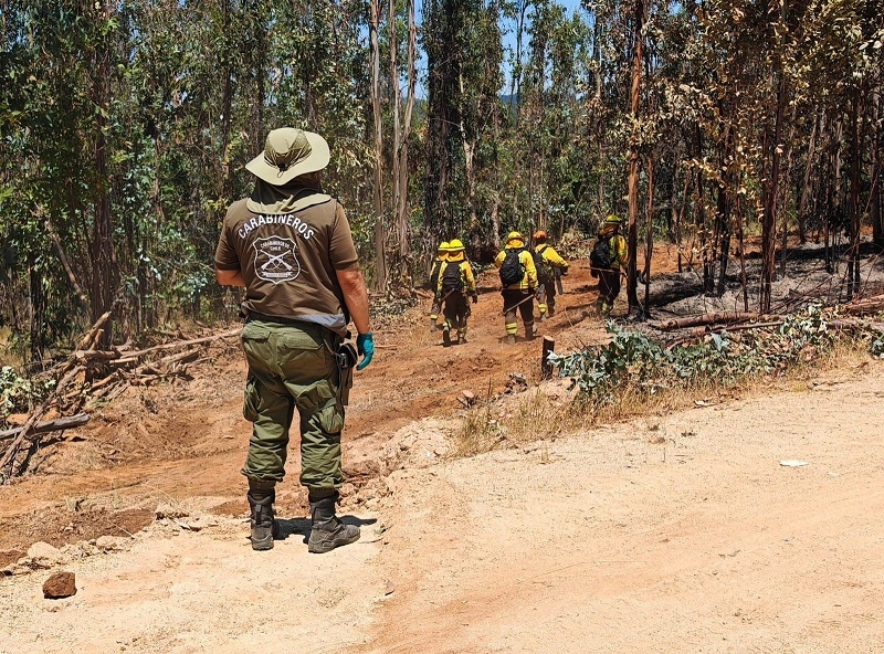 LABOCAR Maule reitera las recomendaciones para evitar incendios forestales