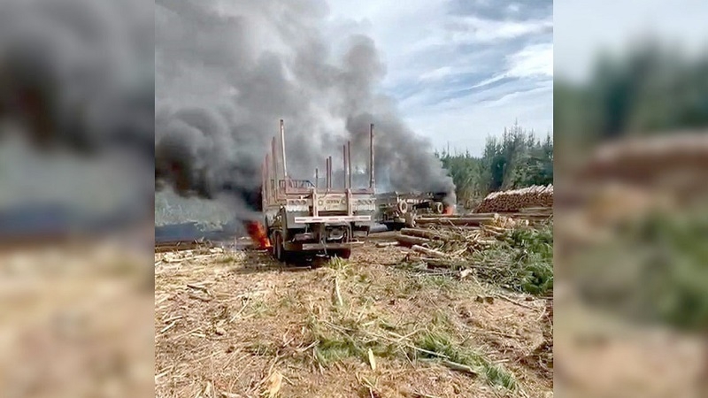 Maquinaria y vehículos quemados en nuevo ataque a faena forestal en La Araucanía