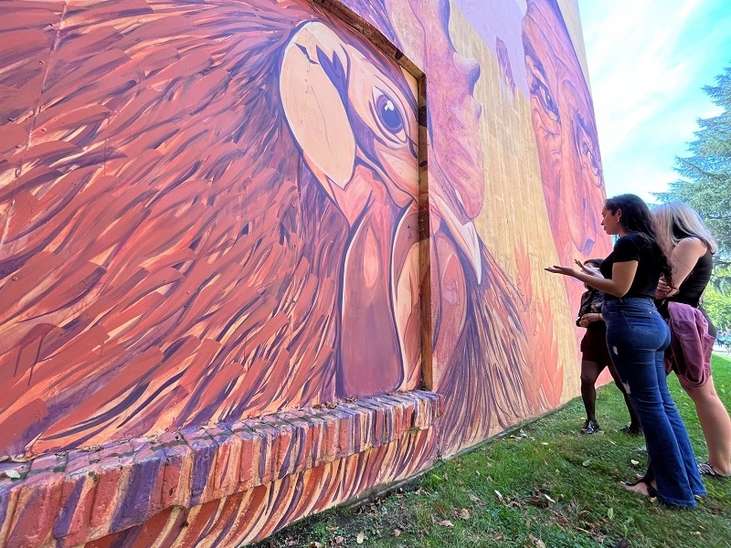 Cuatro murales con voces de mujeres serán pintados en el Maule