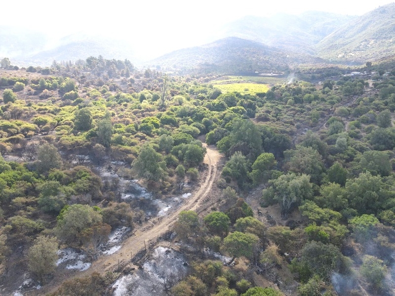 San Javier: incendio forestal declarado como contenido y se coordina ayuda social