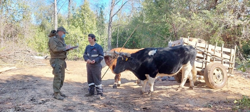 Parral: Carabineros del Retén Bullileo realiza campaña comunitaria