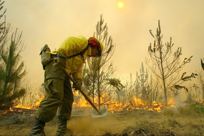 Platean propuestas para enfrentar incendios forestales en la próxima temporada