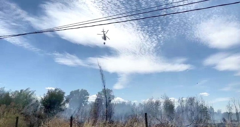 Incendios de pastizales movilizaron a Bomberos de Linares