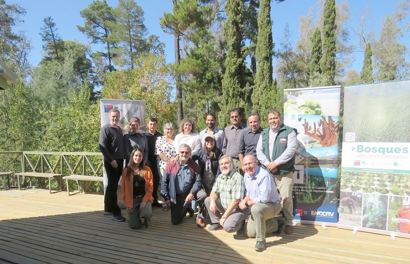 Comienza trabajo en el Maule del Grupo REDD+ sobre bosques y cambio climático